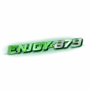 Enjoy879 logo